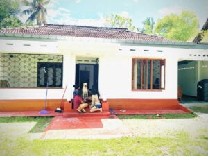 Safe House